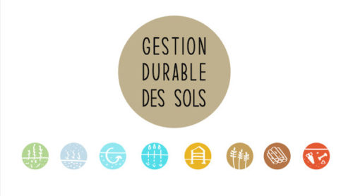 Guide pour une gestion durable des sols, publié par l'Etat de Fribourg (SEn), en lien avec le projet pilote IQsols à Chamblioux-Bertigny.