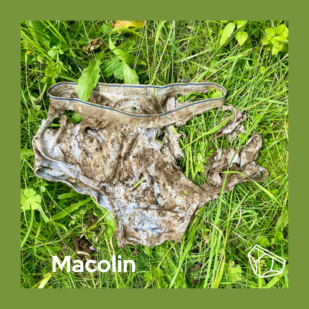 Eine halb-zersetze Unterhose in Macolin