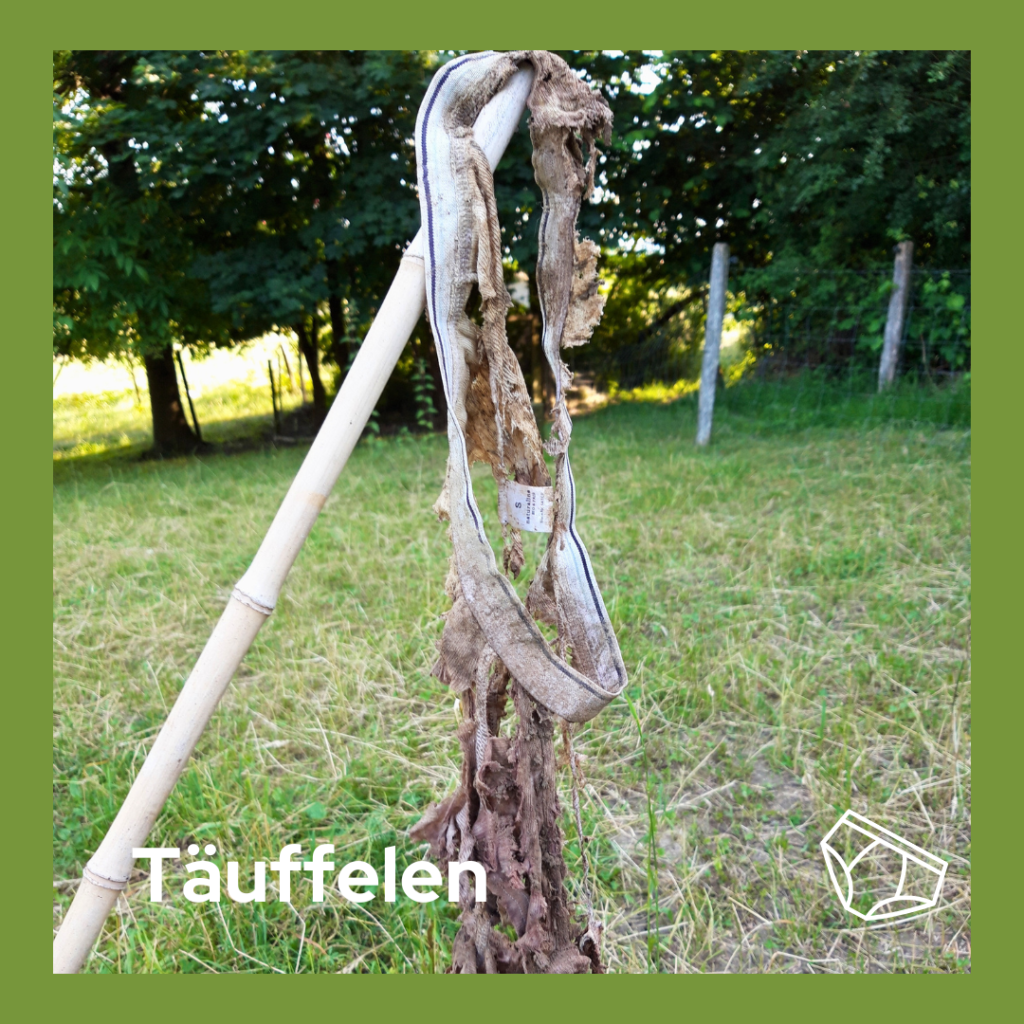 Eine zersetze Unterhose in Täuffelen.